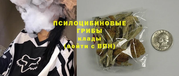 хмурый Алзамай