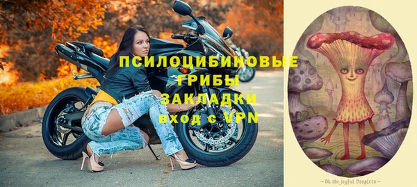 хмурый Алзамай
