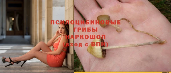 a pvp Алексеевка